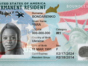Buy Authentic American Green Card